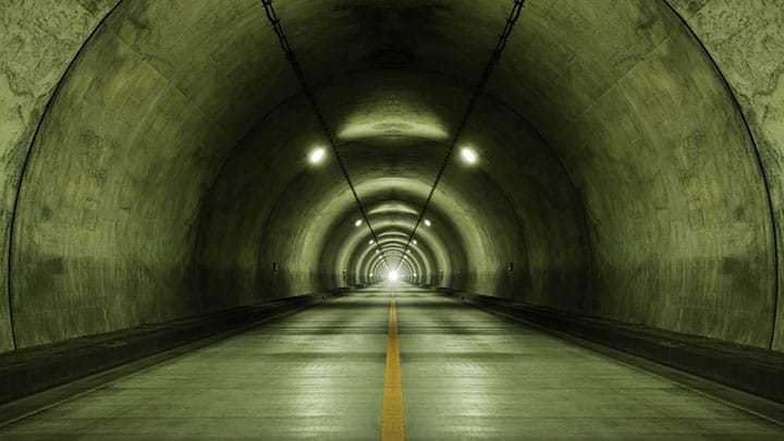 tunnel_seals