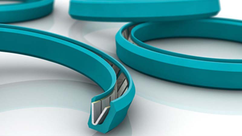 Turcon® Variseal® M2